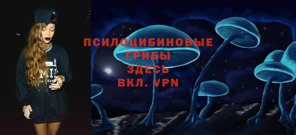 дживик Абаза
