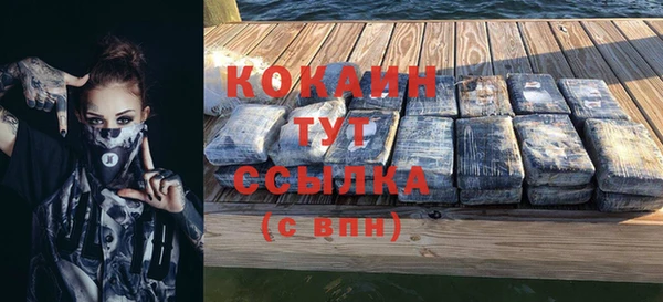 дживик Абаза