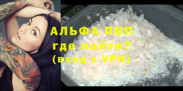 дживик Абаза