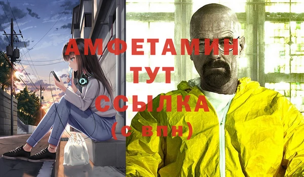 дживик Абаза