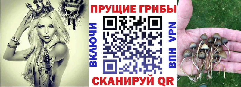 Галлюциногенные грибы Magic Shrooms hydra зеркало Весьегонск